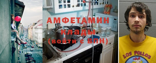 2c-b Ельня