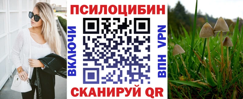 Купить закладки  Осташков  Псилоцибиновые грибы Magic Shrooms 